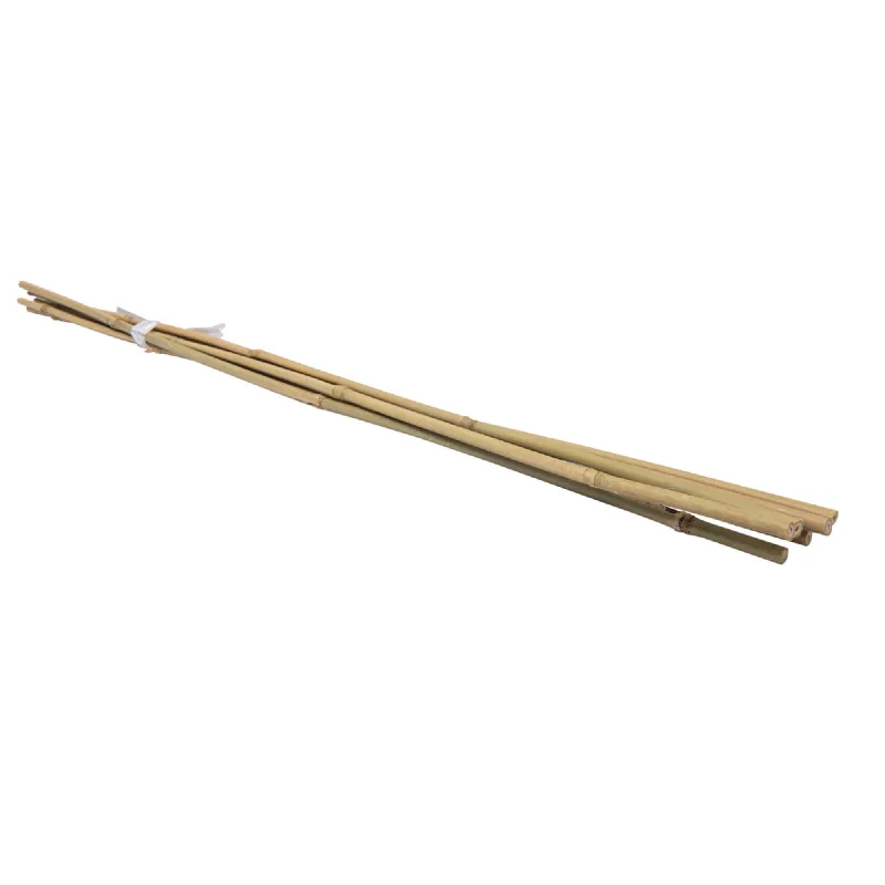 Lot de 6 tuteurs en bambou WERKA PRO