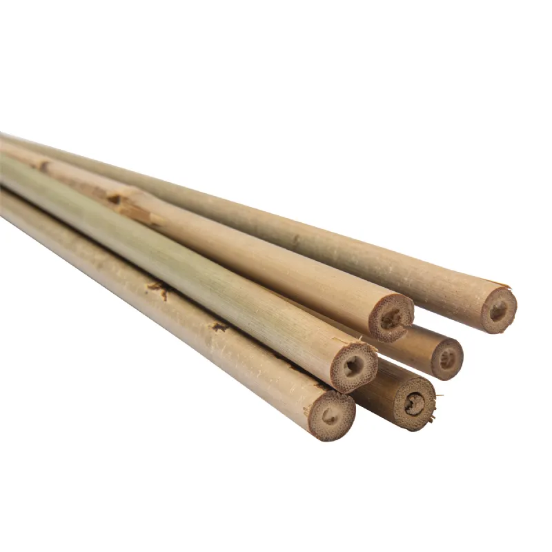 Lot de 6 tuteurs en bambou WERKA PRO
